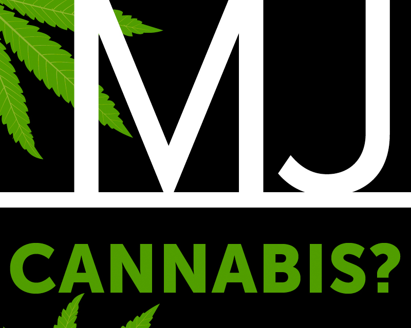 Marijuana Moment Magazine