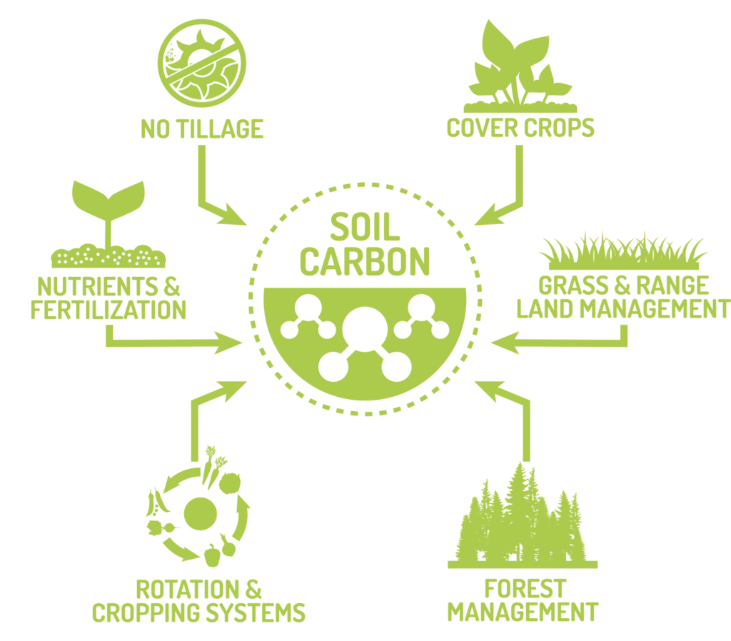 Carbon Credits - Earth Merchant